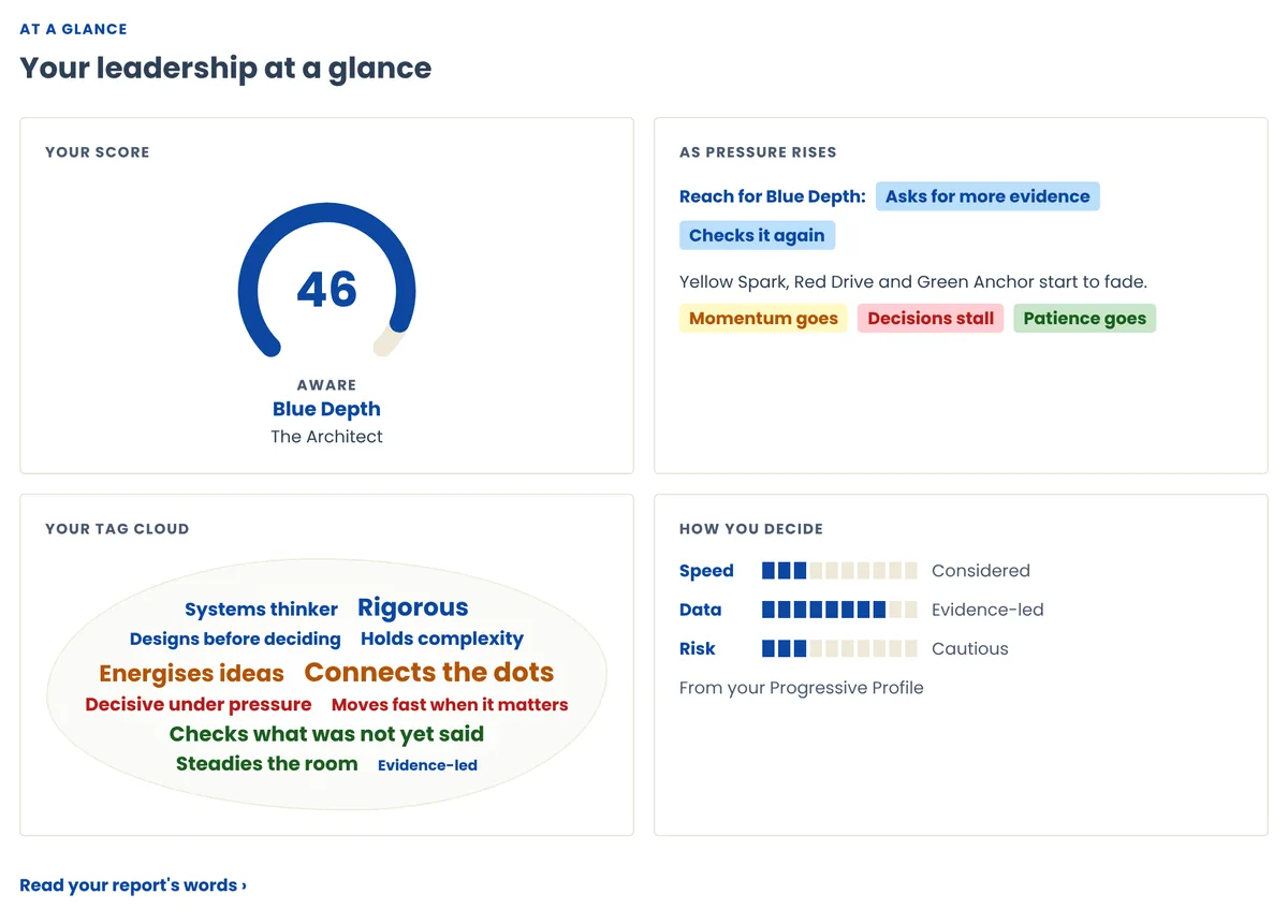 Your profile at a glance in the app: your score, a tag cloud, the pressure path and how you decide.
